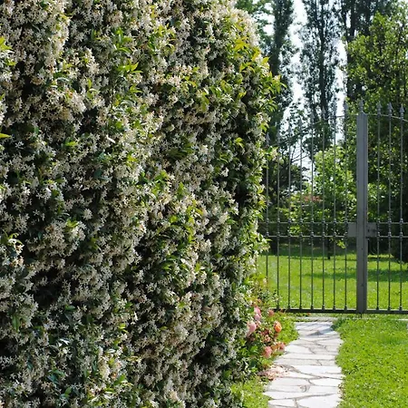 La Maggiorana 住宿加早餐酒店 3*