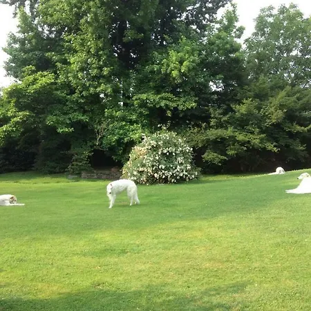 住宿加早餐酒店 La Maggiorana 3*