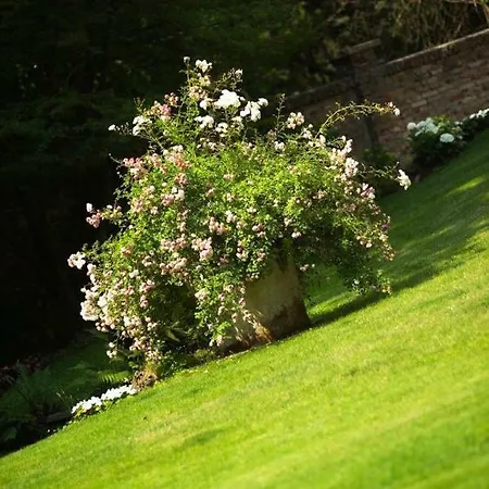 La Maggiorana 3* 里沃利