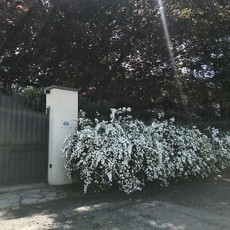 La Maggiorana 住宿加早餐酒店