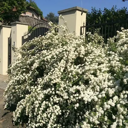 فندق مبيت وإفطار La Maggiorana 3*